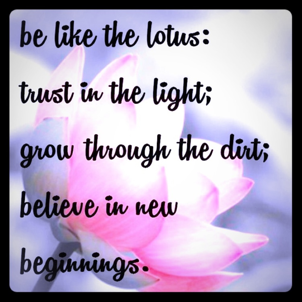 😀🦋🌺